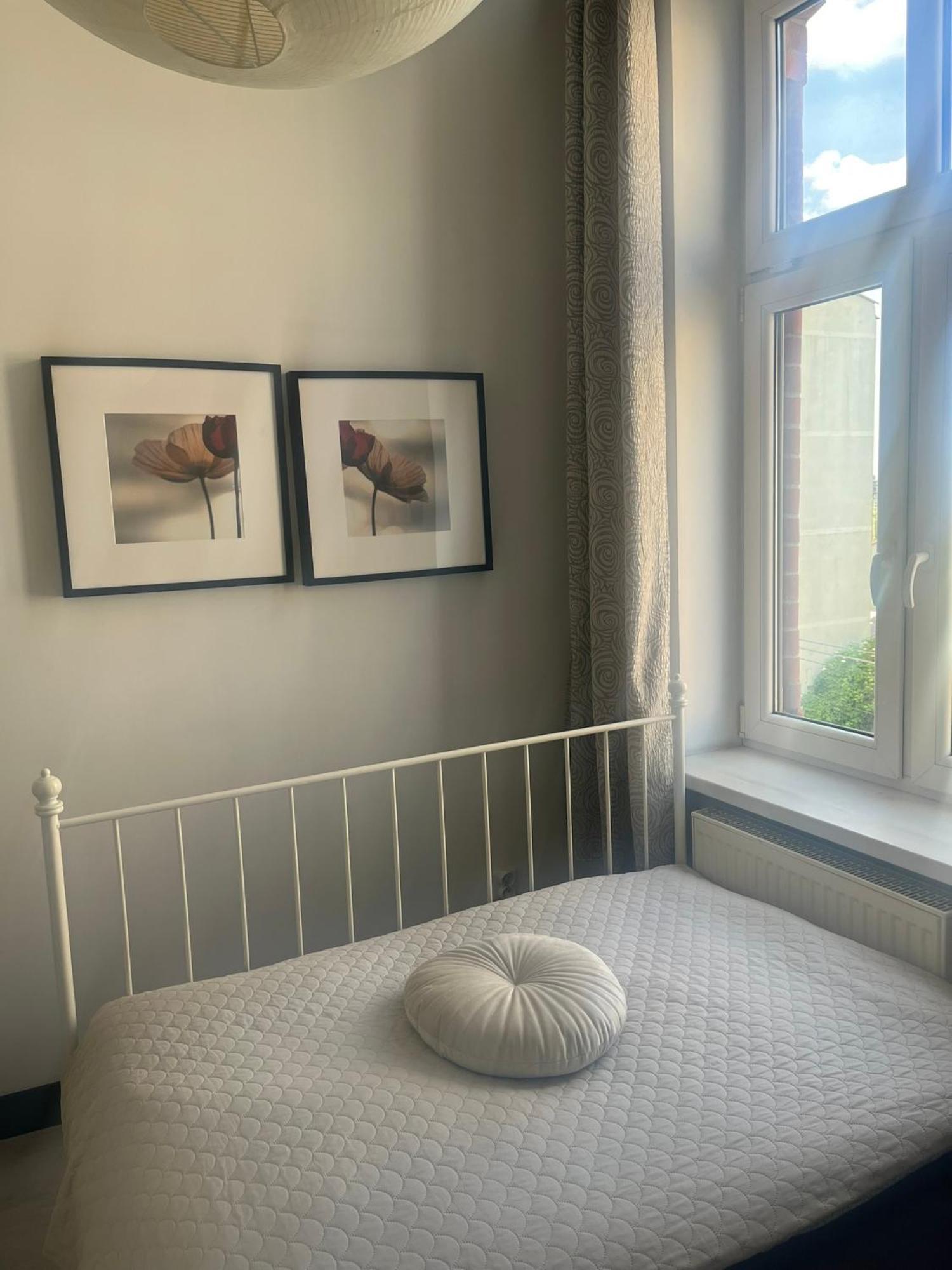 Hstyle Apartament Mikolowska 9 カトヴィツェ エクステリア 写真