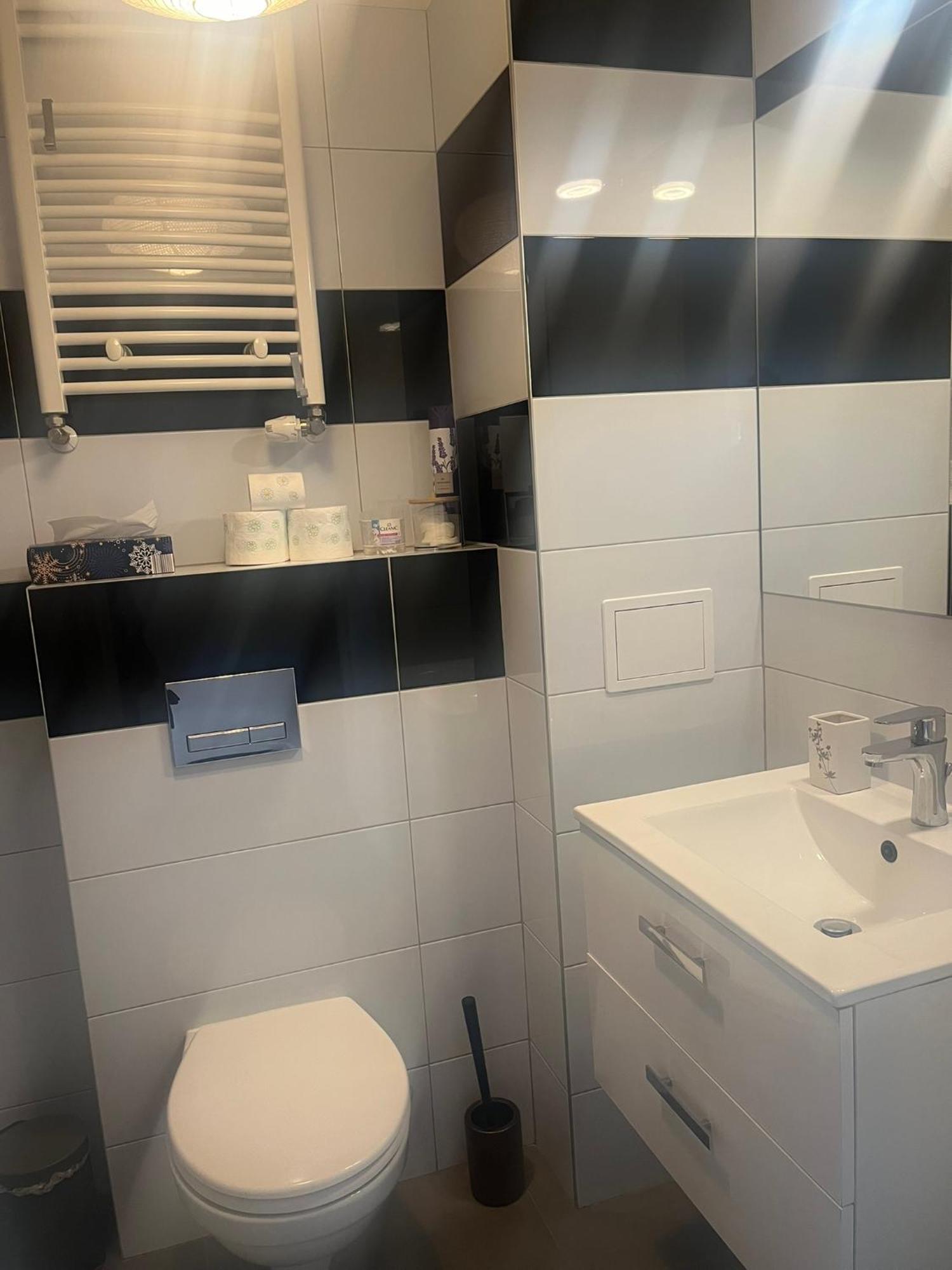 Hstyle Apartament Mikolowska 9 カトヴィツェ エクステリア 写真