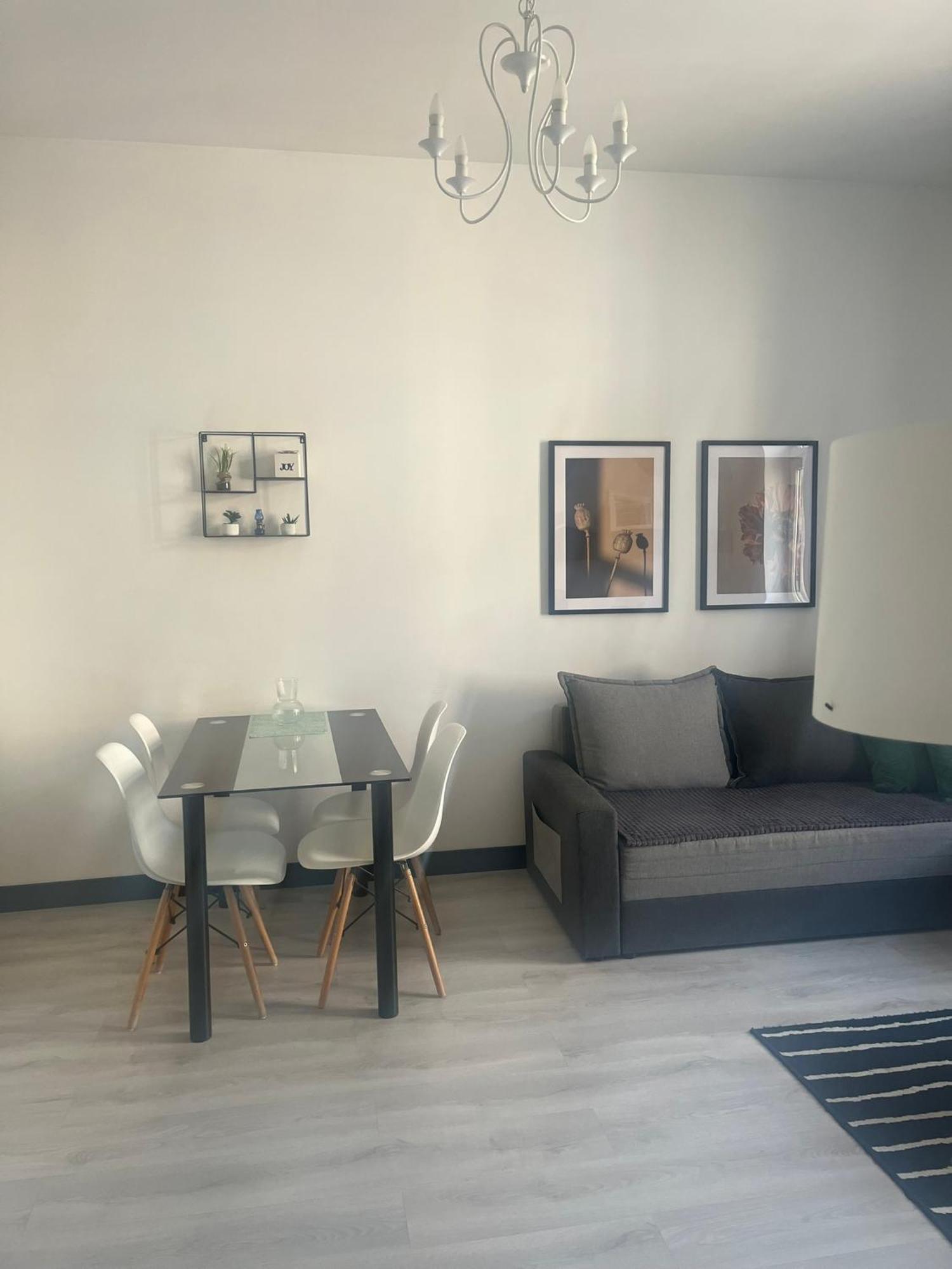 Hstyle Apartament Mikolowska 9 カトヴィツェ エクステリア 写真